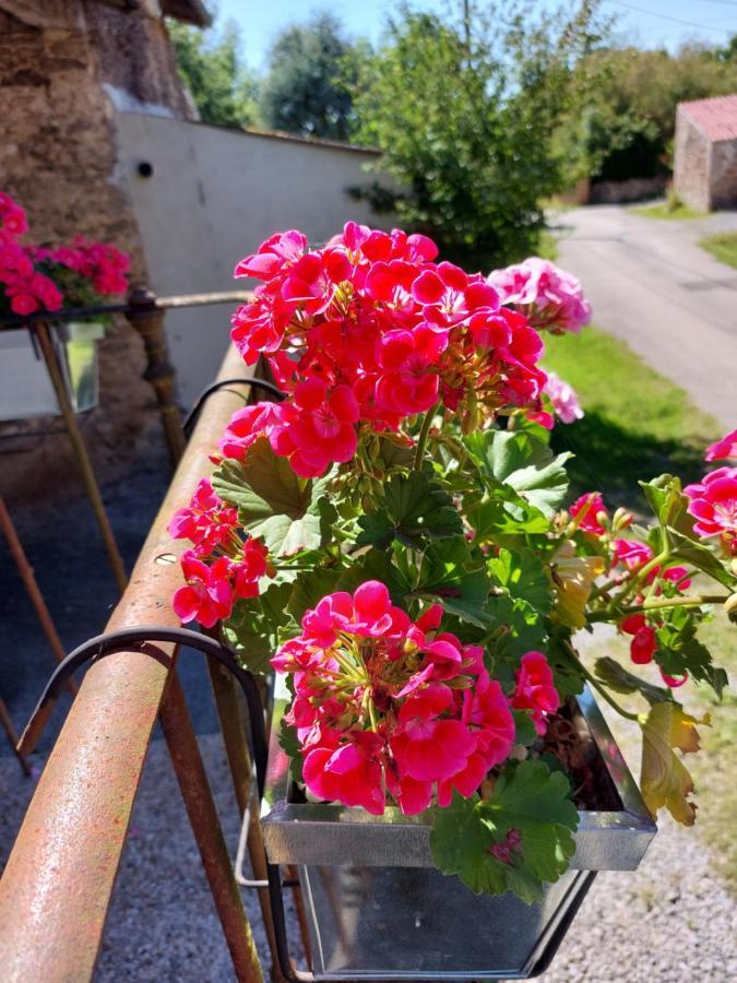 Lazy Days Bed & Breakfast Rancon Eksteriør bilde