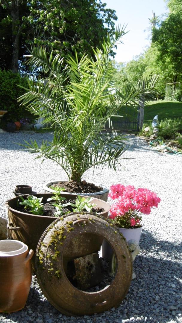 Lazy Days Bed & Breakfast Rancon Eksteriør bilde